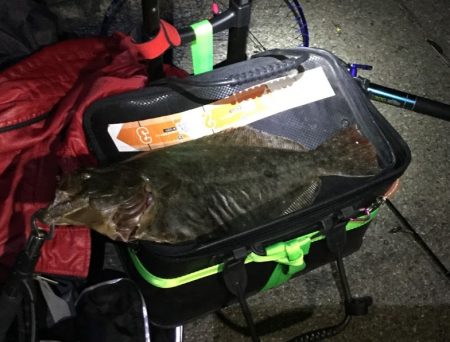 サビキでヒラメ